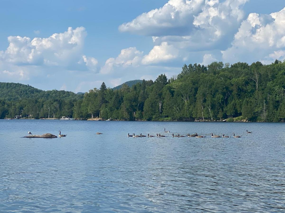 Chalets Et Studios Le Vent Du Nord Lac Superieur Bagian luar foto